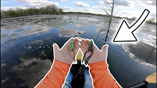 INCREDIBLE Spring Time Frog Fishing Nasty Swamp!