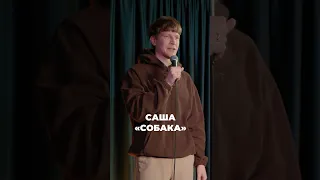 #стендап #standup #юмор #шутка про собаку