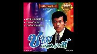 ชาย เมืองสิงห์  รวมเพลงอมตะที่คัดสรรแล้ว ชุดที่ 1 / เพลงจากซีดีแผ่นทอง MP 3 แม่ไม้เพลงไทย