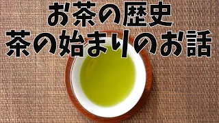 茶の歴史と茶の始まりについて解説^^【日本茶アドバイザー講座I 第4回目】