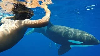 GoPro - Arc Mayotte - Episode 04 - Orca