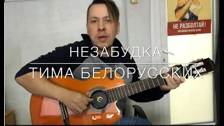 Как играть на гитаре Тима Белорусских - Незабудка Разбор на гитаре, Аккорды