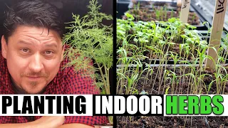 Easiest Way To Plant Your Indoor Herbs! - Garden Quickie Episode 113