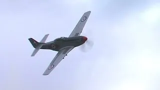 Low level P-51 Mustang flyby with awesome V-12 Merlin audio