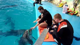 Dolphin therapy for disabled children. Дельфинотерапия для детей с отклонениями.