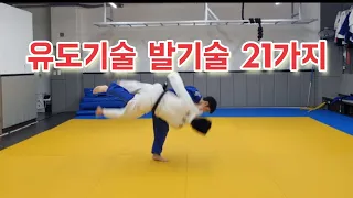 유도기술 발기술 21가지