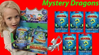 How to Train Your Dragon Mystery Dragons