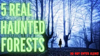 Top 5 Most Haunted Forests In The World | Real Haunted Places Not To Visit Alone