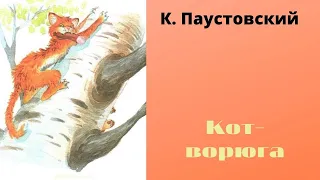 Кот ворюга.