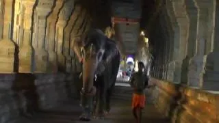 Rameshwaram Temple Corridor  Tamilnadu