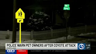 Police warn pet owners after coyote attack in Portland