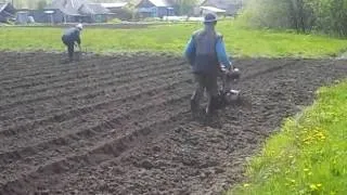 Посадка картофеля культиватором.