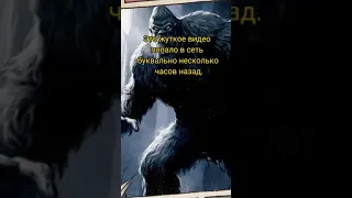 Жуткая дата!! #факты #bigfoot #жуткаяистория