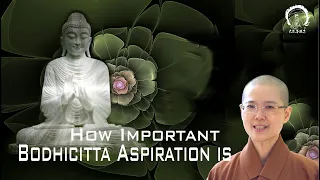 The Importance of the Bodhicitta Aspiration | Ven. Master Miao Jing  生起世俗菩提心的重要 妙淨法師