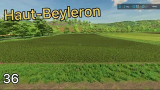 HARVSTING THE NEW GRASS FIELD--FS 22 Haut-Beyleron Ep 36