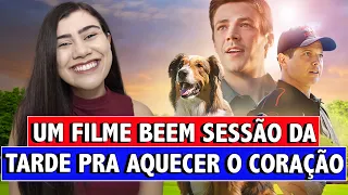 O RESGATE DE RUBY É UM FILME BEM SESSÃO DA TARDE COM CACHORRO E BASEADO NUMA HISTÓRIA REAL | ANÁLISE