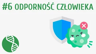 Odporność człowieka #6 [ Krążenie ]