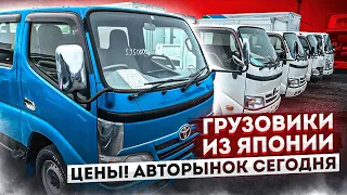 Грузовики из Японии. Авторынок Зеленый Угол 31.05.2022