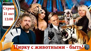 Стрим: Цирку с животными быть! А.Запашный, Д.Костюк, И.Салмина, М.Парфирьев о встрече в ГД