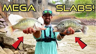 Fishing For MEGA SLAB CRAPPIE at HUGE SPILLWAY! + {Catch Clean Cook!} Delicious SPICY Fish!