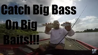 Bass Fishing: Glide Bait Tips and Techniques