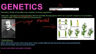 Gr 12 Life Sciences Genetics and Inheritance Part 1