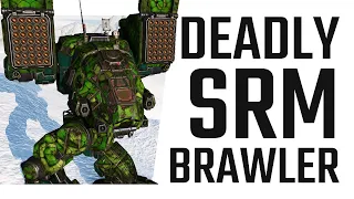 A Deadly SRM Brawler - Catapult "Butterbee" Build - Mechwarrior Online The Daily Dose #1345