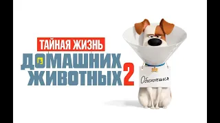 Мультфильм  “ТАЙНАЯ ЖИЗНЬ ДОМАШНИХ ЖИВОТНЫХ 2 “ 2019   Большой русский трейлер