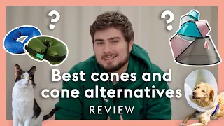 Best pet cones and cone alternatives - review of dog and cat cones and suits