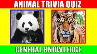 ANIMAL TRIVIA QUIZ for Kids | Animal General Knowledge Quiz Game for Preschoolers and Kindergarten