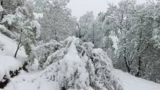 Snjeg u Aprilu u  Srednjoj Bosni donio mnoge probleme sve Paralisano