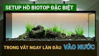 Thi công hồ Biotope SIÊU BÁNH CUỐN cho một vị khách ĐẶC BIỆT tại Đà Nẵng