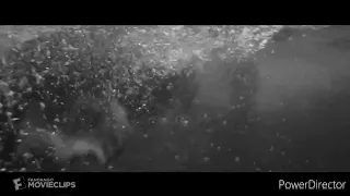 underwater scene scenes edit: a dogs purpose underwater scene black and white