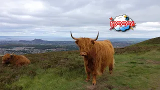 ПРИКЛЮЧЕНИЯ НА СВЕЖЕМ ВОЗДУХЕ, ПЕНТЛАНДСКИЕ ХОЛМЫ,  PENTLAND HILLS, ЭДИНБУРГ, Часть 1-ая