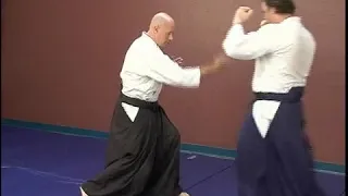 Defending a Kick: Intermediate Aikido Techniques