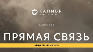 Калибр. Прямая связь 14