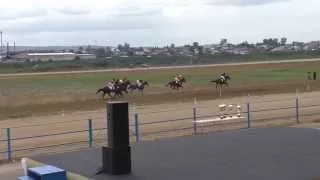 Скачка для лошадей 3 и стр. возраста-Емельяново 15.08.2015(Horse–Animal-racing-конь-смотреть-онлайн)