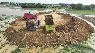 Update Massive Land Filling Up 5ton Truck Unloading Dirt Mini Dozer KOMATSU Pushing Clearing Dirt