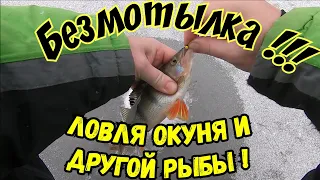 Безмотылка ! Ловля окуня и плотвы!