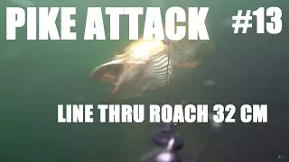 #13 Savage Gear Line Thru Roach 32 cm Pike Attacks