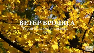 Ветер бродяга - Турий Владимир (Taran2L_) l Cover V. Bazhinovsky.