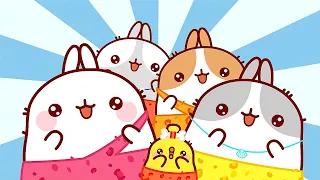 Molang 🌸 All NEW Episodes Compilation 🐰 Cartoon for kids Kedoo ToonsTV