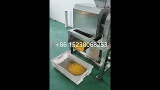 Automatic mango Juice Pulp Making Machine