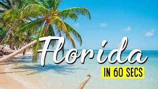 Visit Florida in 1 minute