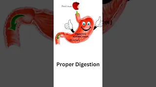 100% Working Digestion Tips #digestion #healthydigestion  #shorts