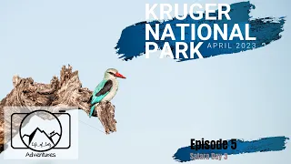 Kruger National Park - April 2023 - Episode 5: Game Drive with a Guide & Lunch at Olifants Rest Camp