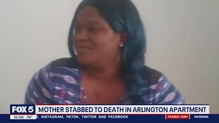 Mother stabbed to death in Arlington apartment