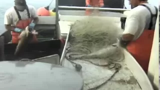 Gillnetting on the Dawn T. Documentary (Complete)