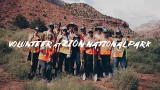 Volunteering at Zion National Park