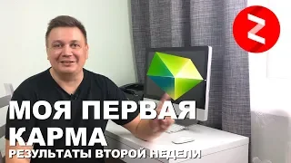 Вторая неделя в Яндекс Дзен. Первые Деньги. Первая карма + Бонус как использовать бонусные показы.